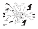 import_rng.product_image_0579